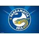 Eels NRL Edible Icing Image - A4